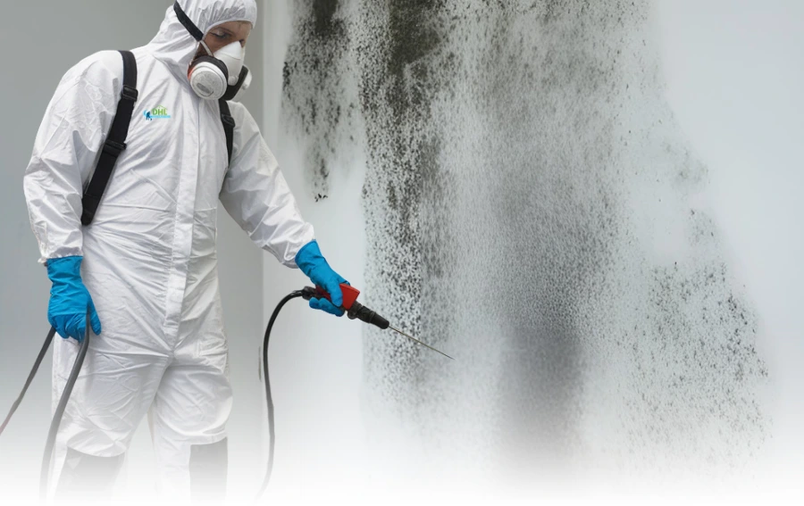 Technician Spraying Severe Mold Growth on Wall – "Certified mold mitigation specialist in full hazmat suit and respirator spraying a heavily mold-infested wall with professional-grade disinfectant in New Jersey."