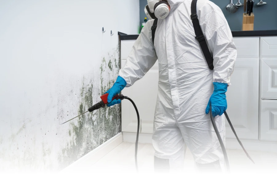 Mold Specialist Treating Kitchen Wall – "Professional mold mitigation technician treating mold growth on a kitchen wall using industrial-grade equipment in New Jersey."