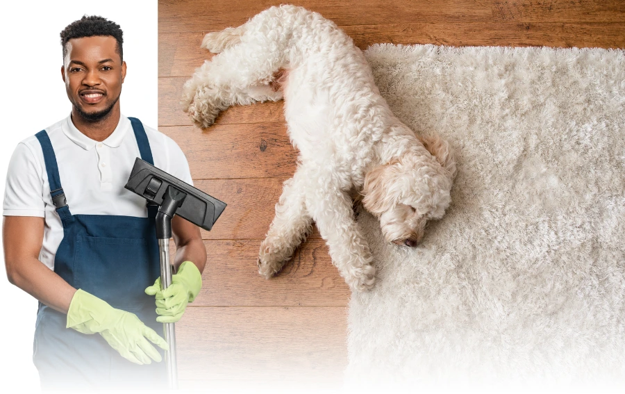 Man Holding Cleaning Equipment Beside Rug and Dog – "Professional rug cleaner in NJ holding equipment, with a dog lying on a freshly cleaned rug, symbolizing safe and effective cleaning."