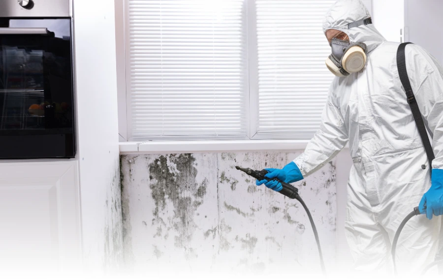 Worker Addressing Severe Mold in Home Interior – "Mold mitigation technician wearing a respirator and gloves while treating extensive mold on a residential wall in New Jersey, emphasizing the importance of early intervention."